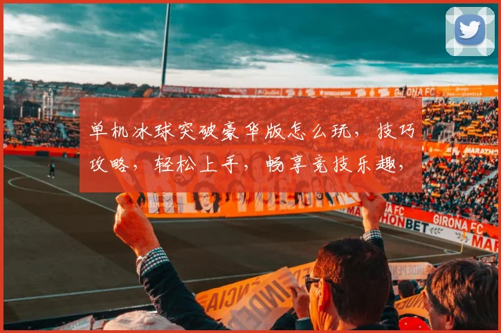单机冰球突破豪华版怎么玩，技巧攻略，轻松上手，畅享竞技乐趣，三大要点必看