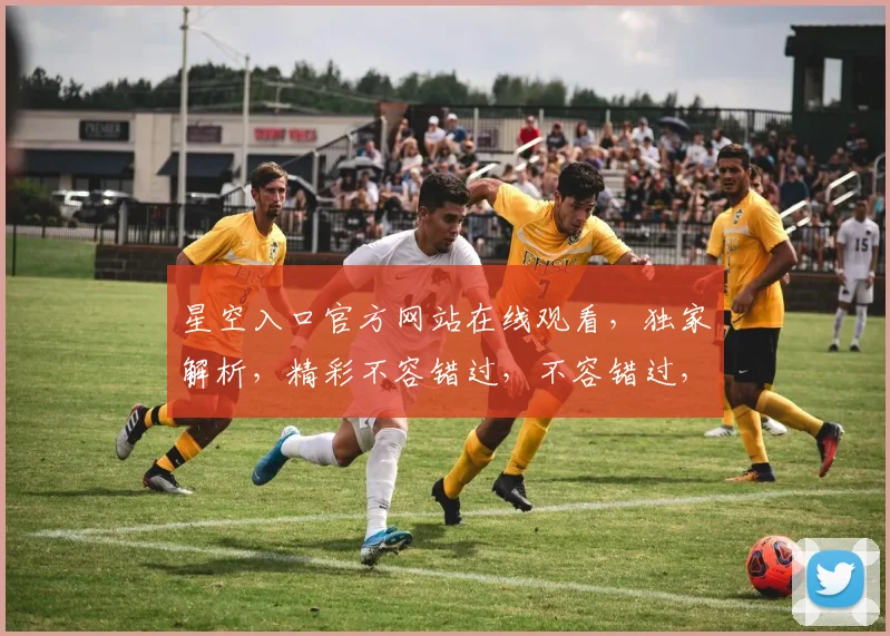 星空入口官方网站在线观看，独家解析，精彩不容错过，不容错过，不容错过