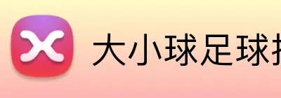 大小球足球投注高赔率 Logo